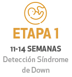 atencion global para mujer ginecologia y obstetricia