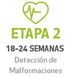 atencion global para mujer ginecologia y obstetricia