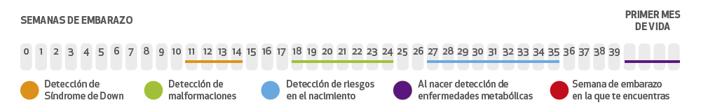 atencion global para mujer ginecologia y obstetricia
